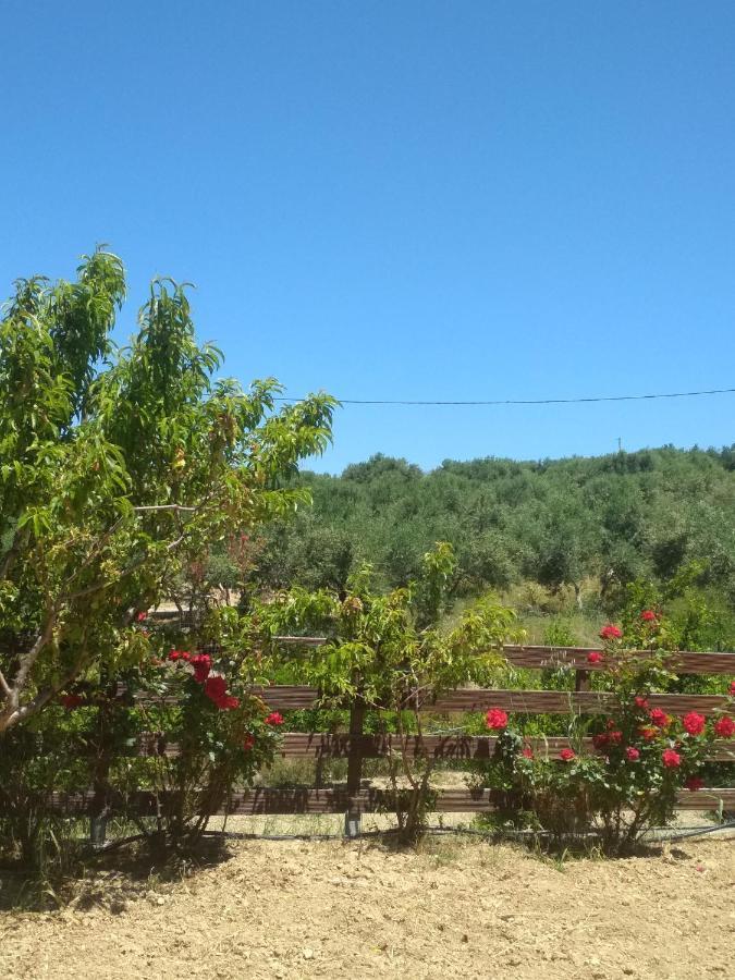 Eden Garden Villa Near Knossos Skalanion Eksteriør bilde